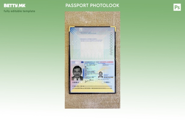 Модерен стил холандски пасош (сегашен) шаблон за фото изглед